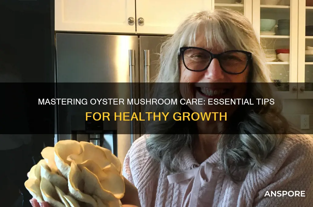 how to take care of oyster mushrooms