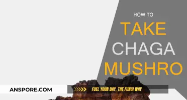 Best Ways to Consume Chaga Mushrooms