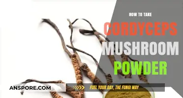 Maximize Cordyceps Benefits: A Guide to Taking Mushroom Powder