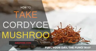 Unlocking Cordyceps: A Guide to Consuming This Mushroom