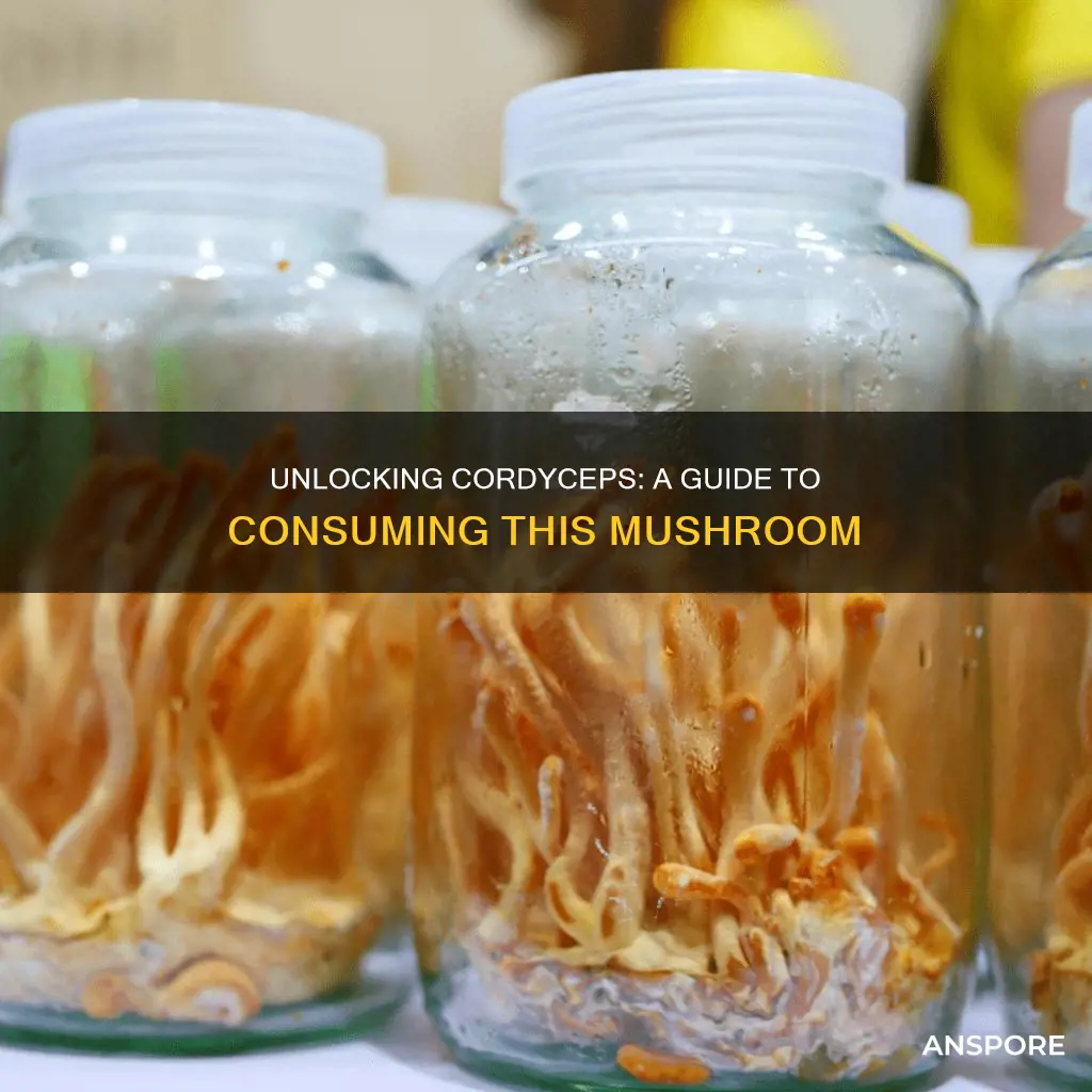 how to take cordyceps mushroom