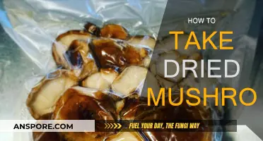 Dried Mushrooms: A Guide to Consumption Methods