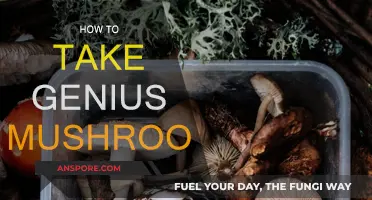 Genius Mushrooms: A Guide to Consuming Smartly