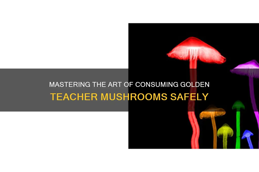 how to take golden teacher mushrooms