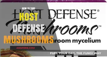 Maximizing Benefits: A Guide to Taking Host Defense Mushrooms