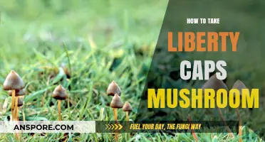 Safe and Mindful Guide to Consuming Liberty Caps Mushrooms