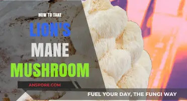 Unlocking Lion's Mane Benefits: Optimal Ways to Take This Super Mushroom