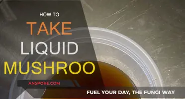 A Beginner's Guide to Taking Liquid Mushrooms