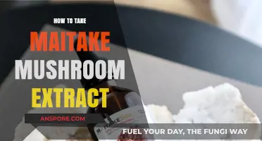 Unlocking Maitake's Benefits: A Guide to Taking Mushroom Extract