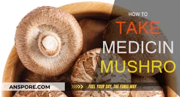 Medicinal Mushrooms: Best Ways to Consume Them