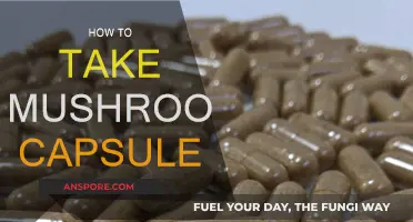 Mushroom Capsules: Easy Ways to Consume
