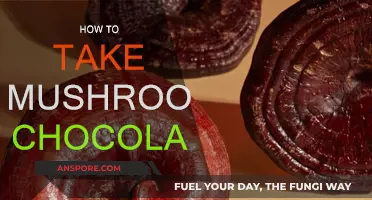 Mushroom Chocolate: A Guide to Safe Consumption