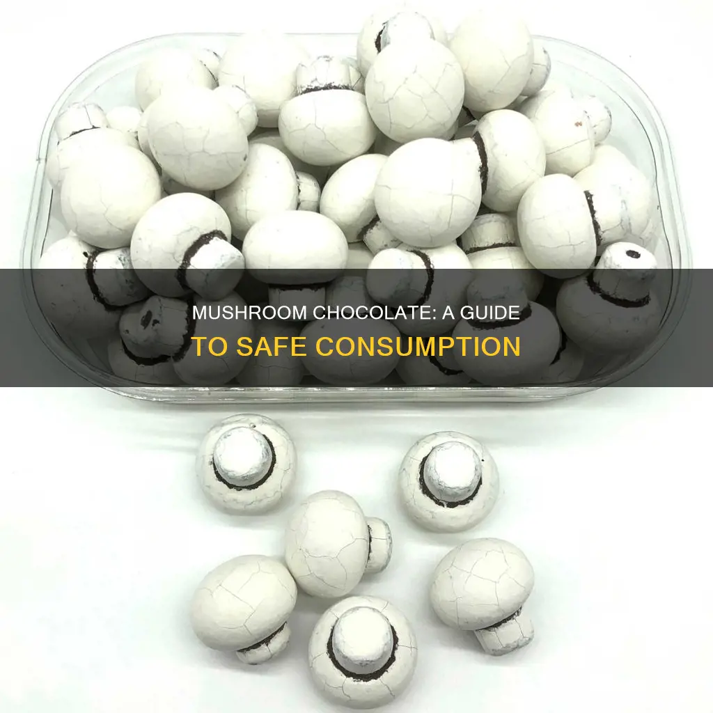 how to take mushroom chocolate