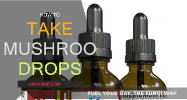 The Ultimate Guide to Taking Mushroom Drops