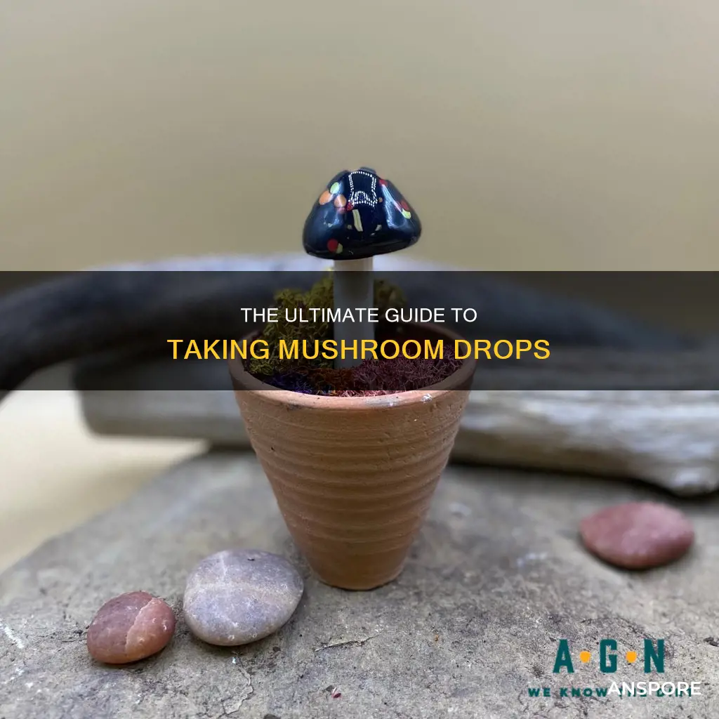 how to take mushroom drops