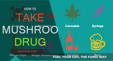 A Beginner's Guide to Consuming Psychedelic Mushrooms