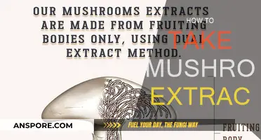 The Ultimate Guide to Consuming Mushroom Extracts