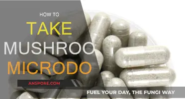 Microdosing Mushrooms: A Beginner's Guide to Safe Usage