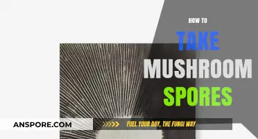 Mastering Mushroom Spores: A Step-by-Step Guide to Successful Collection