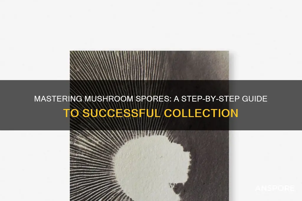 how to take mushroom spores