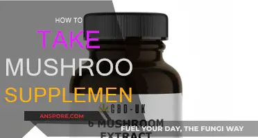 Mushroom Supplements: Best Ways to Take Them