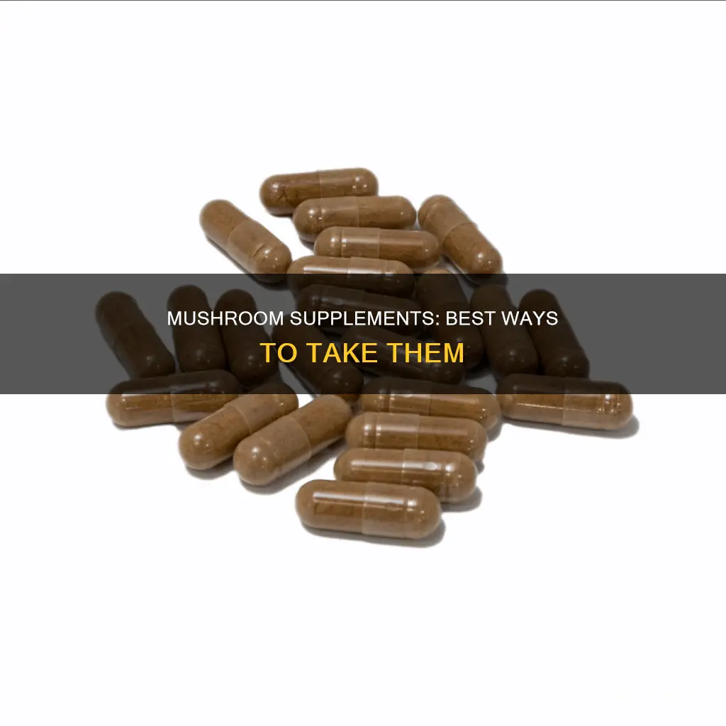 how to take mushroom supplements