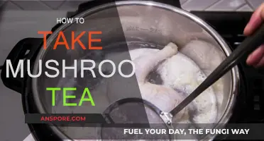 A Beginner's Guide to Drinking Mushroom Tea