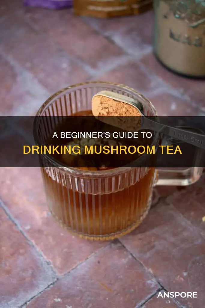 how to take mushroom tea