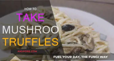 Exploring Mushroom Truffles: A Beginner's Guide