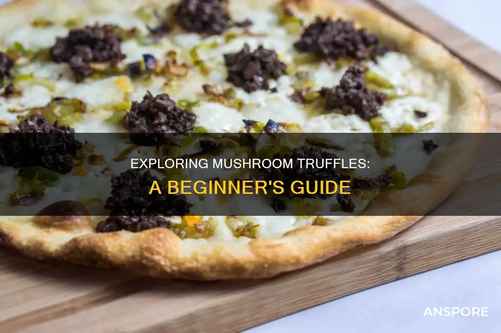 how to take mushroom truffles