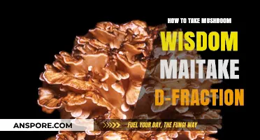 Unlocking Maitake D-Fraction Benefits: A Guide to Mushroom Wisdom Dosage