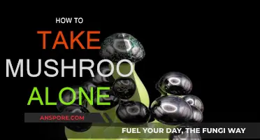 Solo Shroom Trip: A Guide to Safe Exploration