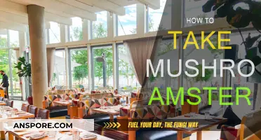 Exploring Amsterdam's Mushroom Culture and How to Partake