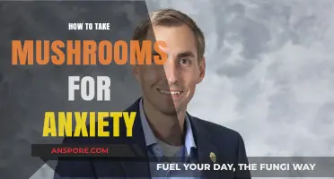 Exploring Psilocybin: A Guide to Using Mushrooms for Anxiety Relief