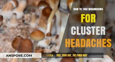 Mushrooms for Cluster Headaches: A Natural Relief Guide