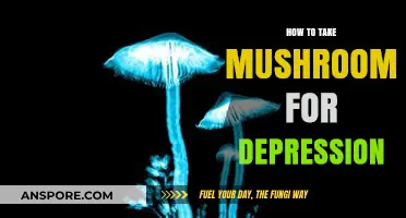 Exploring Psilocybin Therapy: A Guide to Mushrooms for Depression Relief
