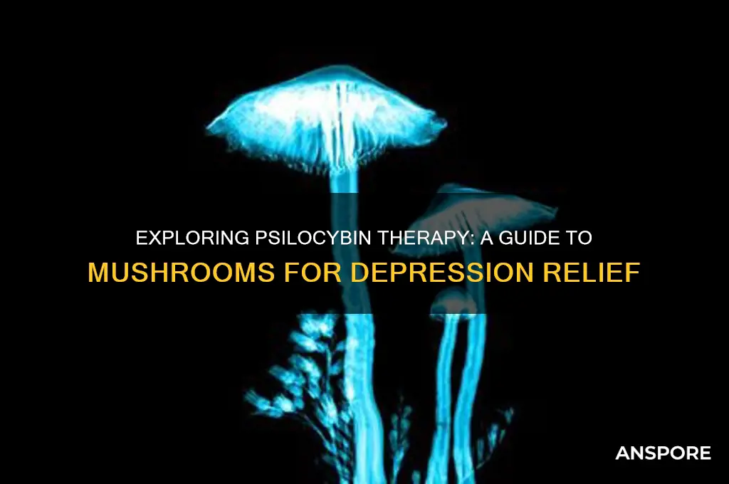 how to take mushrooms for depression