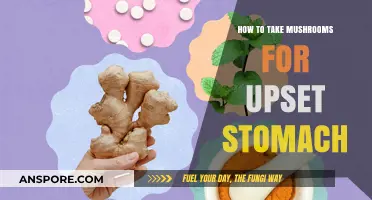 Natural Relief: Using Mushrooms to Soothe an Upset Stomach