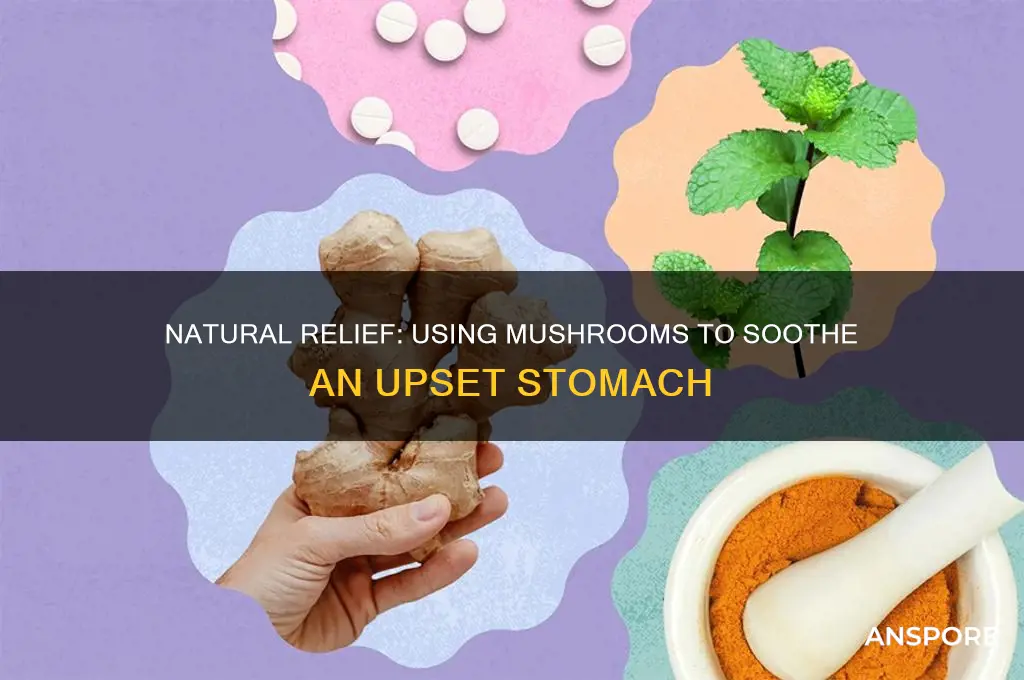 how to take mushrooms for upset stomach
