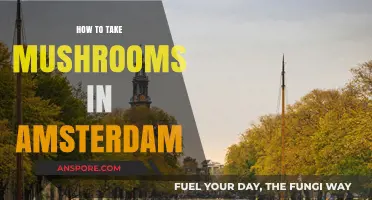 Exploring Amsterdam's Magic: A Guide to Safely Enjoying Mushrooms