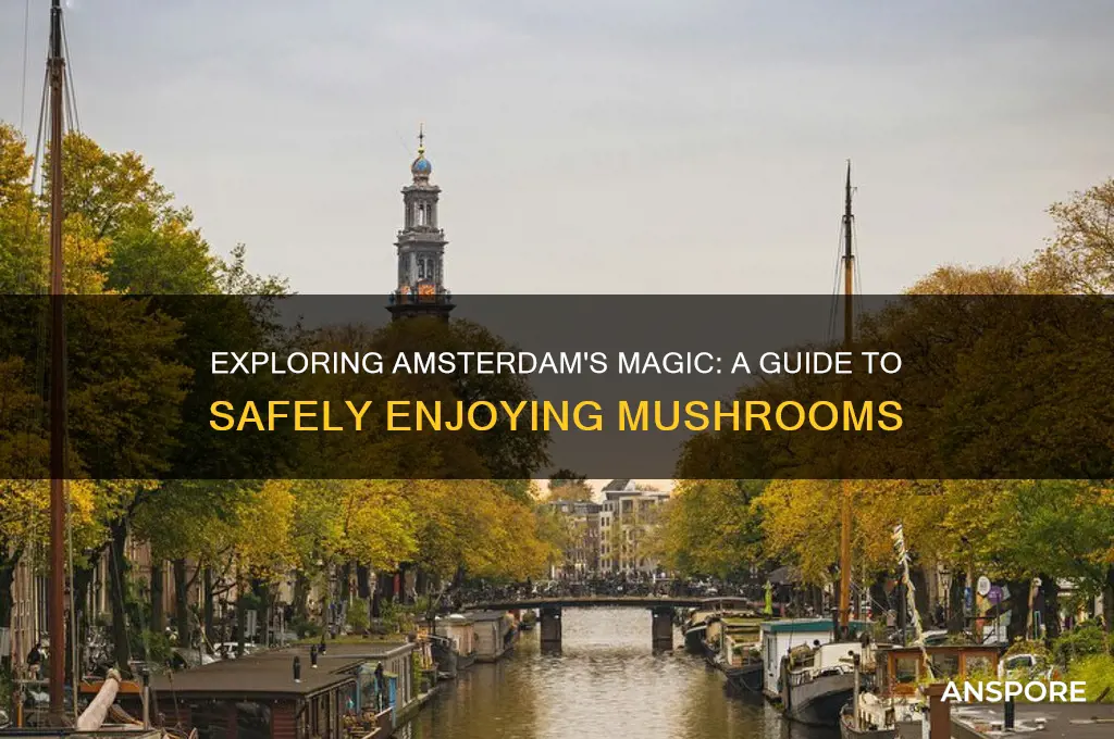 how to take mushrooms in amsterdam