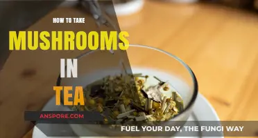 Brewing Magic: A Guide to Enjoying Mushrooms in Your Tea
