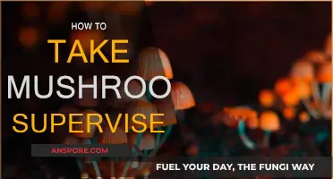 Supervised Mushroom Trips: A Safe Way to Explore