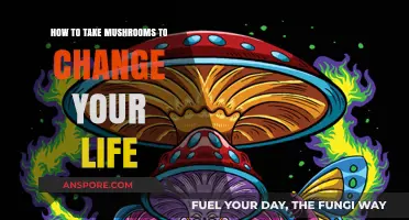 Transform Your Life: A Guide to Mindful Mushroom Exploration