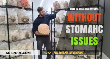 Avoid Stomach Discomfort: Tips for Taking Mushrooms Smoothly