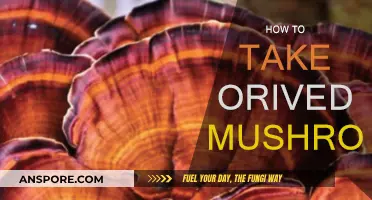 The Ultimate Guide to Taking Oriveda Mushrooms
