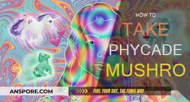 A Beginner's Guide to Taking Psychedelic Mushrooms