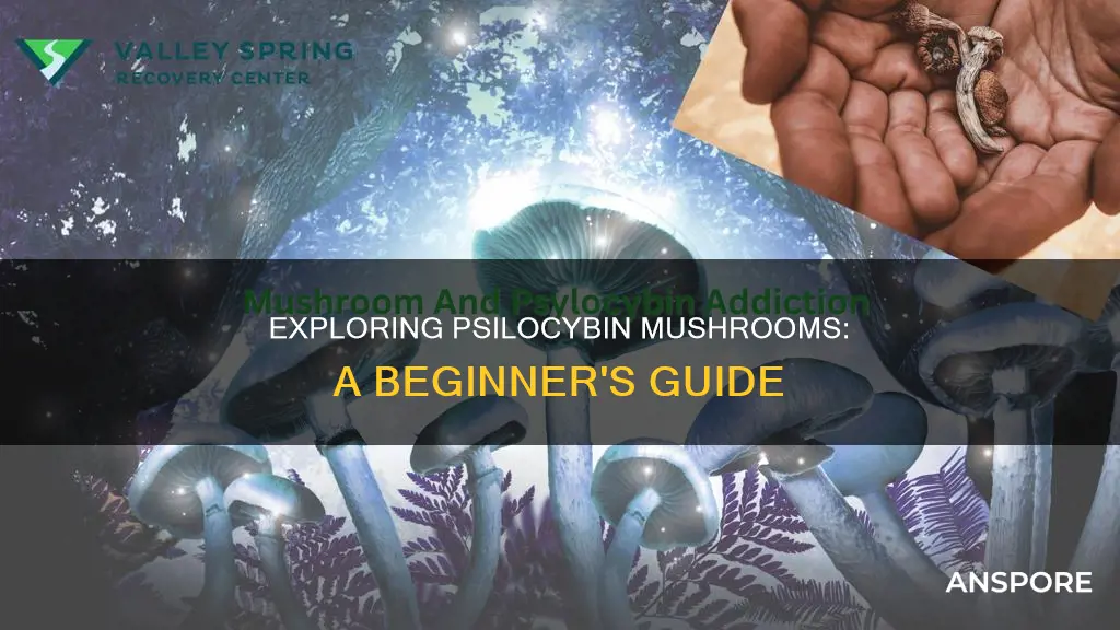 how to take psilocybin mushrooms