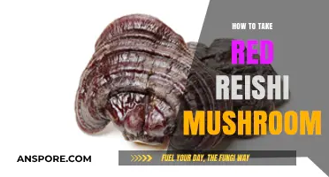 Unlocking Red Reishi's Benefits: A Simple Guide to Consumption