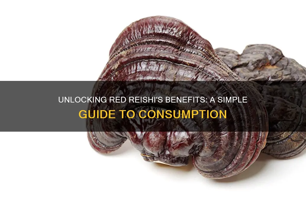 how to take red reishi mushroom